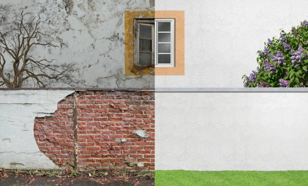 Best Commercial Mold Inspection  in Sumner, WA